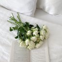 iftomorrownevercome avatar