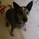 ifyouhaveaminute avatar