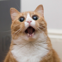 igeon-eoli-seogda avatar