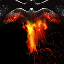 ignite-the-dark-with-passion avatar