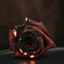 ignite-the-fire-in-my-heart avatar