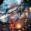 ignite-the-light avatar