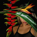 igniteourdreams avatar