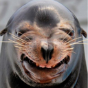 ignoremealready avatar