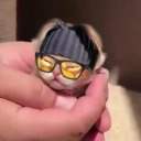 ignorethissign8 avatar