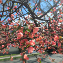 igottathingfornerds avatar