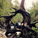 igual-niqueria-ser-alta avatar