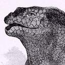 iguanodont avatar