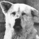 ihateupeople-blog avatar