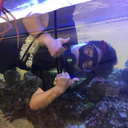 ihateyouallexceptforcats avatar