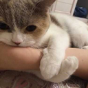 ihavemanymood avatar