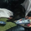 ihavenosoul12 avatar