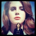 iheartarcticm0nkeys avatar