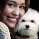 iheartgifs--blog avatar