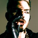 iheartglambert avatar