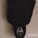 iiischeckeredsocks avatar