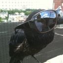 iimpavidwrites avatar