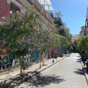 iinloverose-blog avatar