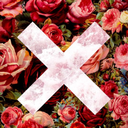 iinsanesanity avatar