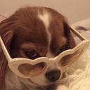 iinternetdreamss avatar