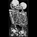 iisa-be-la-blog avatar