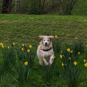 ijustlove324b21 avatar