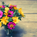 ikariwerewolf91-blog avatar