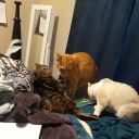 ikerevandotherthings avatar