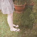 ikincibahargecesi avatar