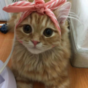 ikittyprincess avatar