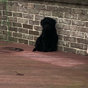 ilackcreativity-1-1-1 avatar