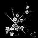 ilciclodevefinire avatar