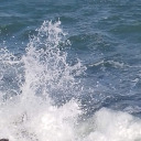 ilgiardinodipietra avatar