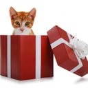 ilginchediyem avatar