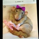 ilikebeingoutside avatar