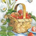 ilikeboigbooksandicannotlie avatar