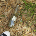 ilikecheddarpopcorn avatar