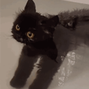 ilikegemsalot avatar