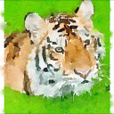 ilikesocks101 avatar