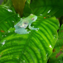 ilikethe-internet avatar