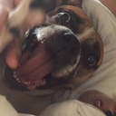 ilikeyourliplock-blog avatar