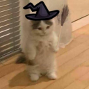 ilkbaharyagmuru avatar