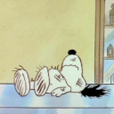 illbootengottyy avatar