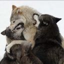 illburyusboth avatar