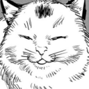 illegalcoinseller avatar