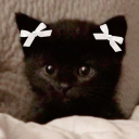 illegalposting avatar