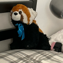 illegitimate-teddy avatar