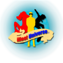 illest-universe avatar