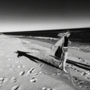 illfinditinasong avatar