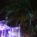 illicit-actions avatar